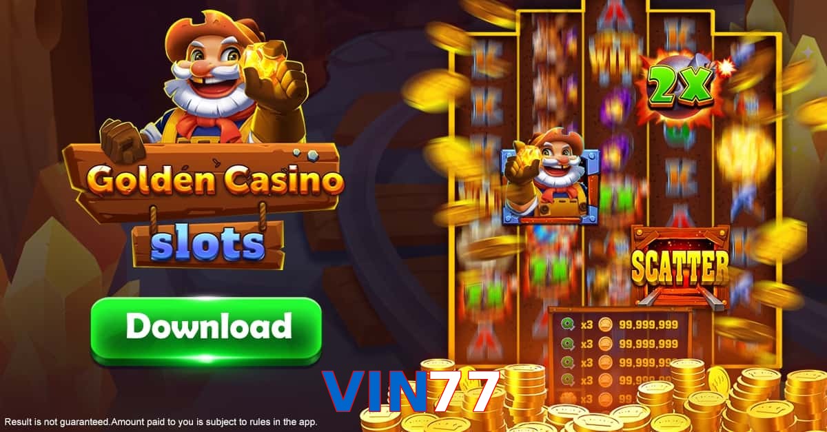 VIN77